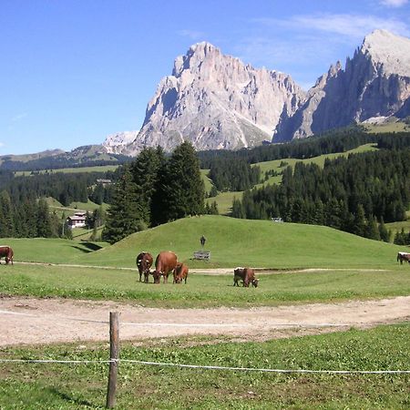 Hotel Flora Selva di Val Gardena Exteriér fotografie