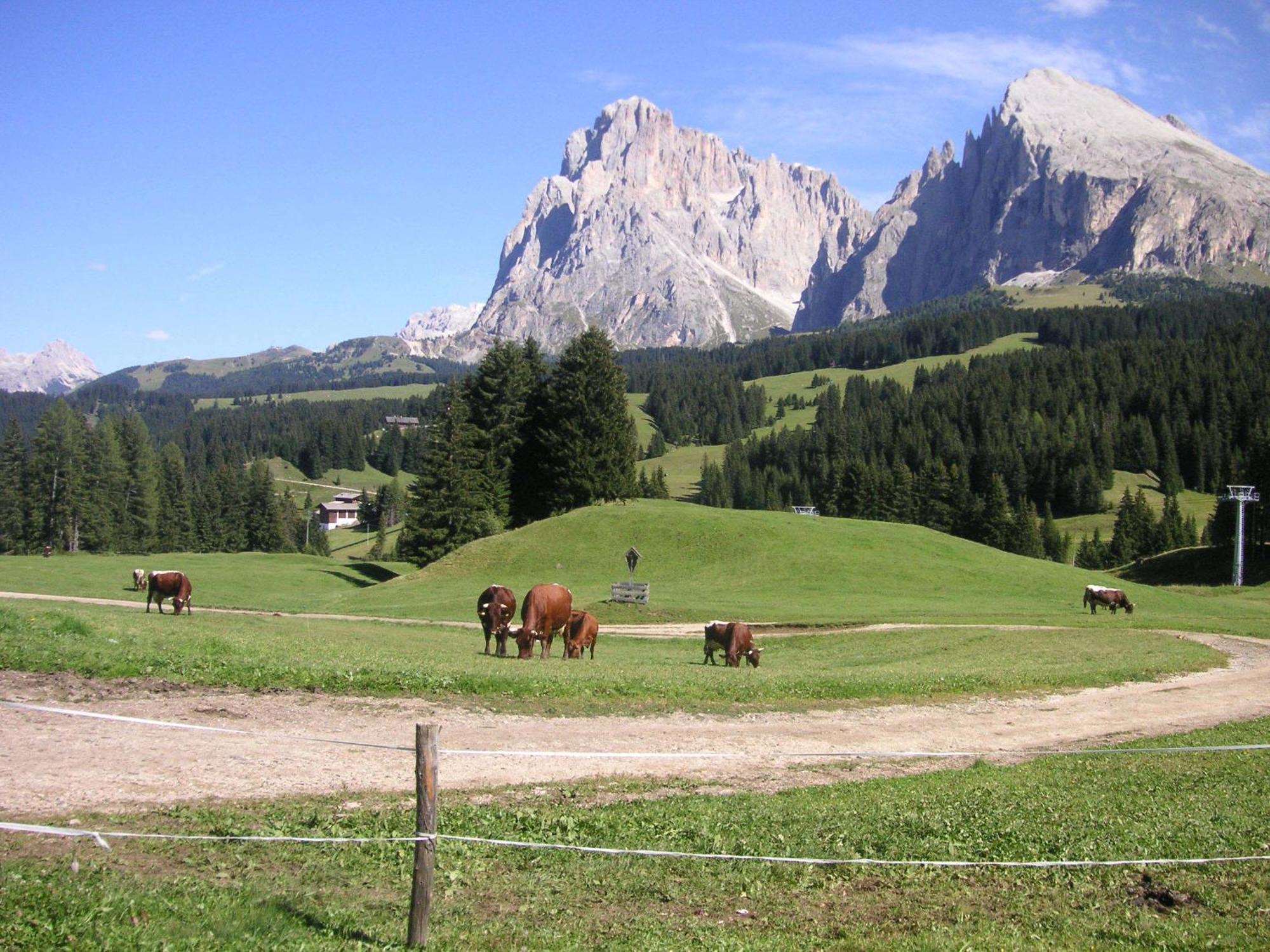 Hotel Flora Selva di Val Gardena Exteriér fotografie